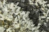 Gleaming Striated Pyrite Crystals with Quartz - Peru #287609-1
